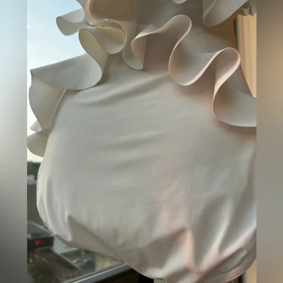 Zimmermann White Ruffled One Piece Swimsuit - Picture 8 of 16